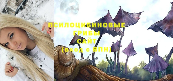 прущие крисы Иннополис